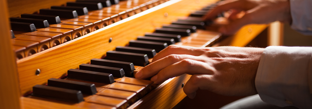 Afbeeling voor de pagina: Samenwerkingen